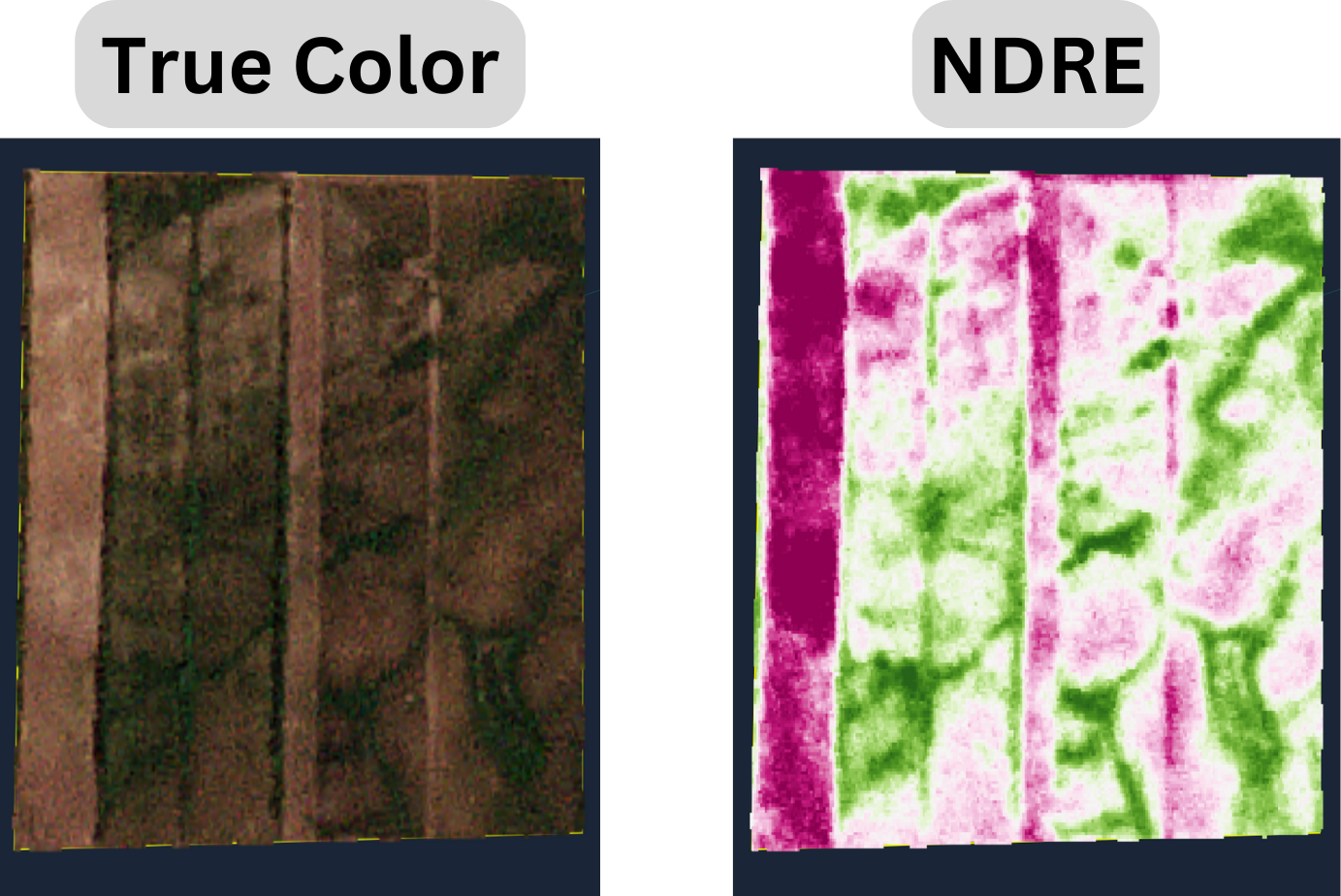 NDRE.png