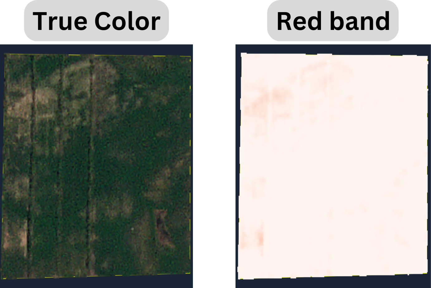 Red band.png
