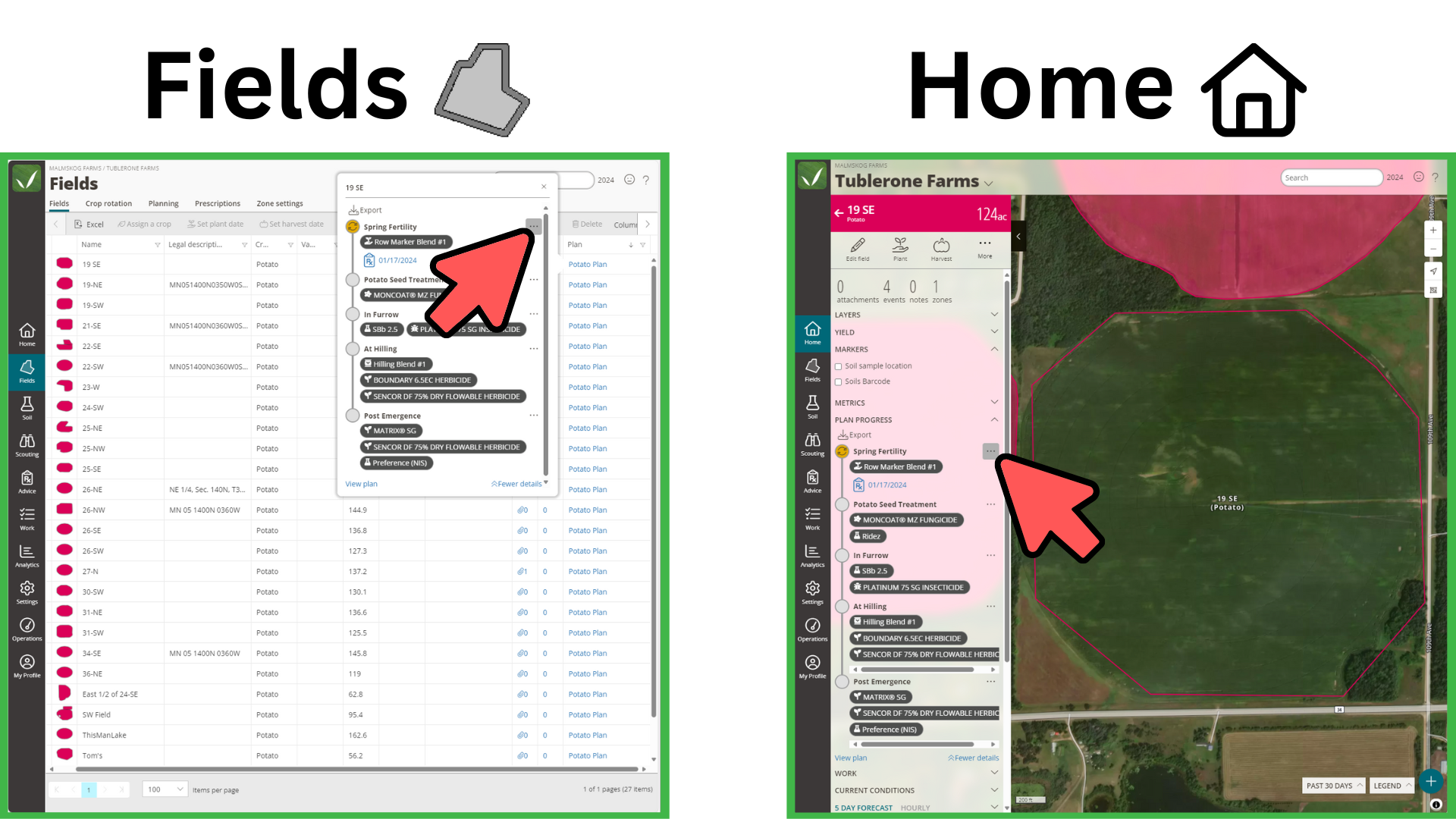 Fields.png