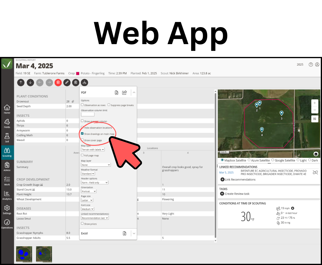 Web App.png