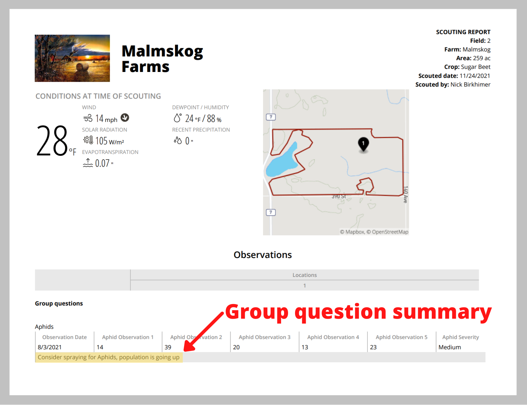 group_question_report_final.png