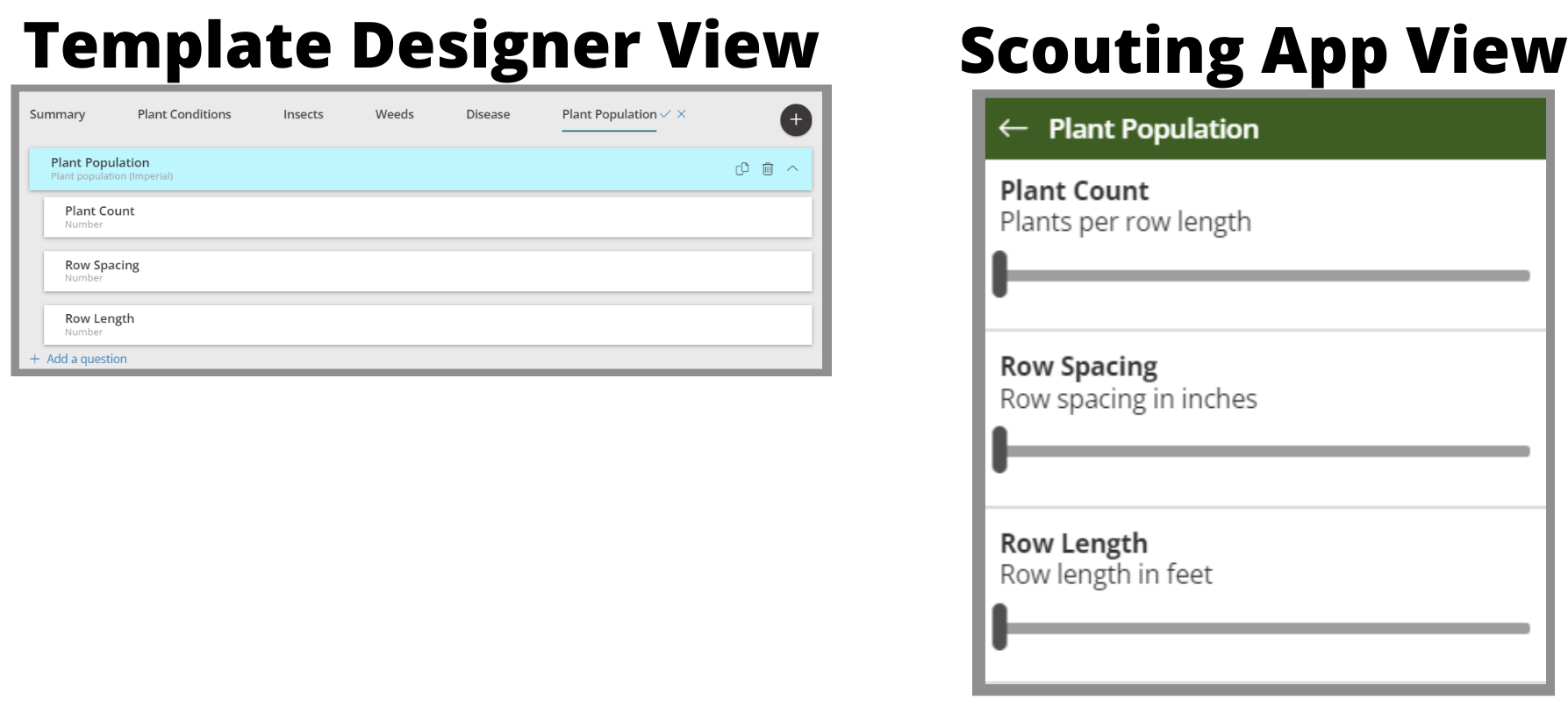 Template_Designer_View.png