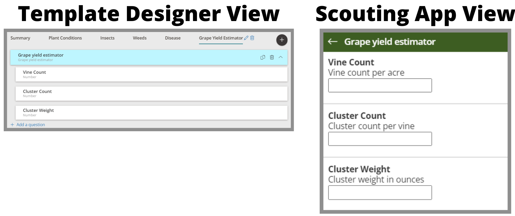 Template_Designer_View__1_.png
